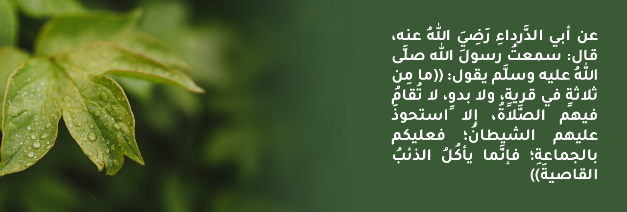 رابع